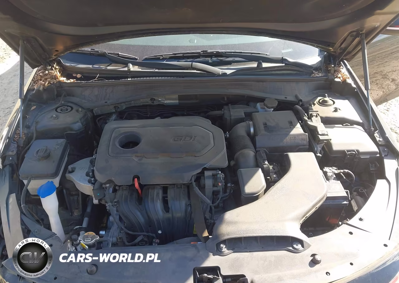 2020 Kia Optima Lx VIN:5XXGT4L39LG383541 - 10