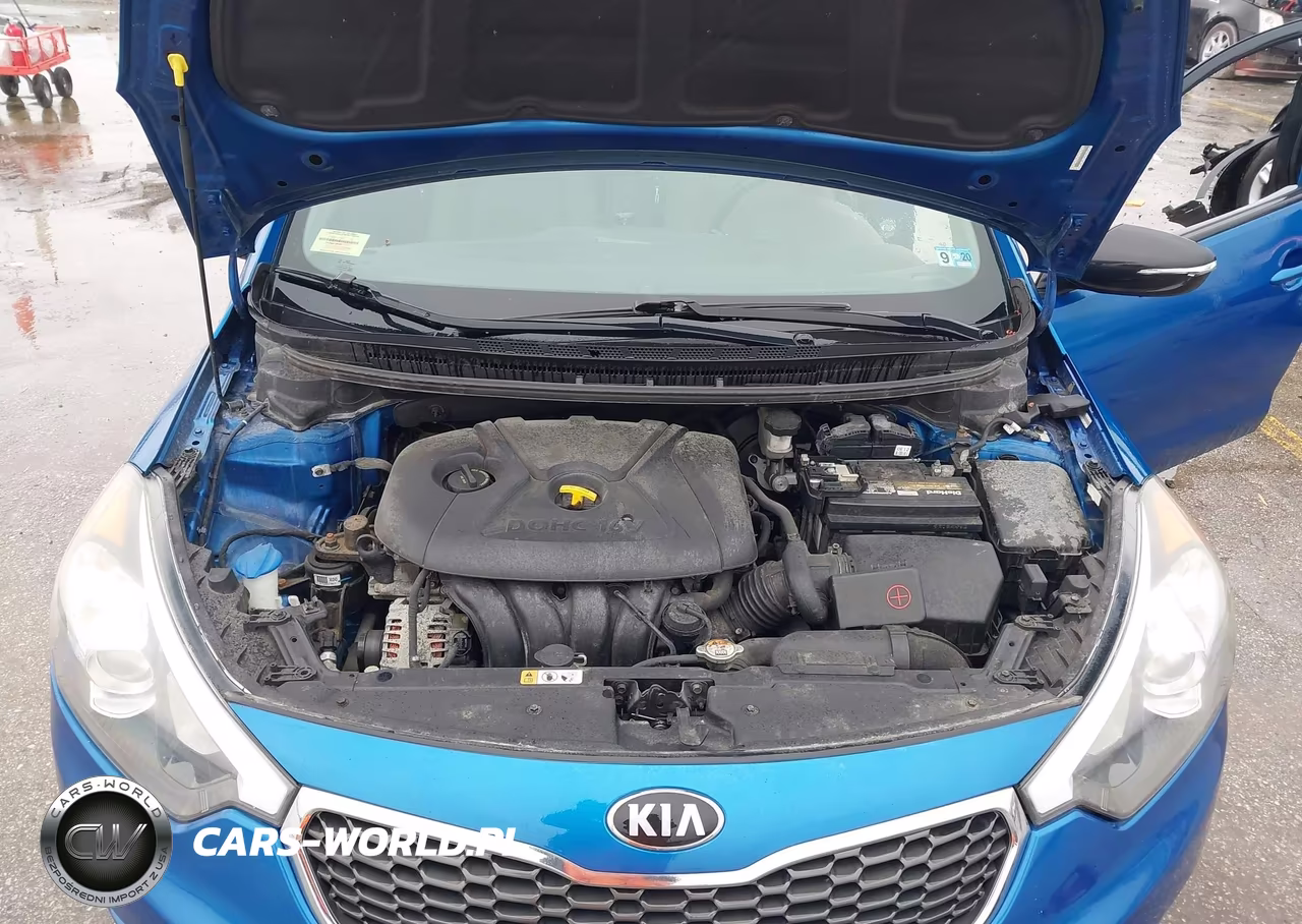 2015 Kia Forte Lx VIN:KNAFX4A60F5278745 - 10