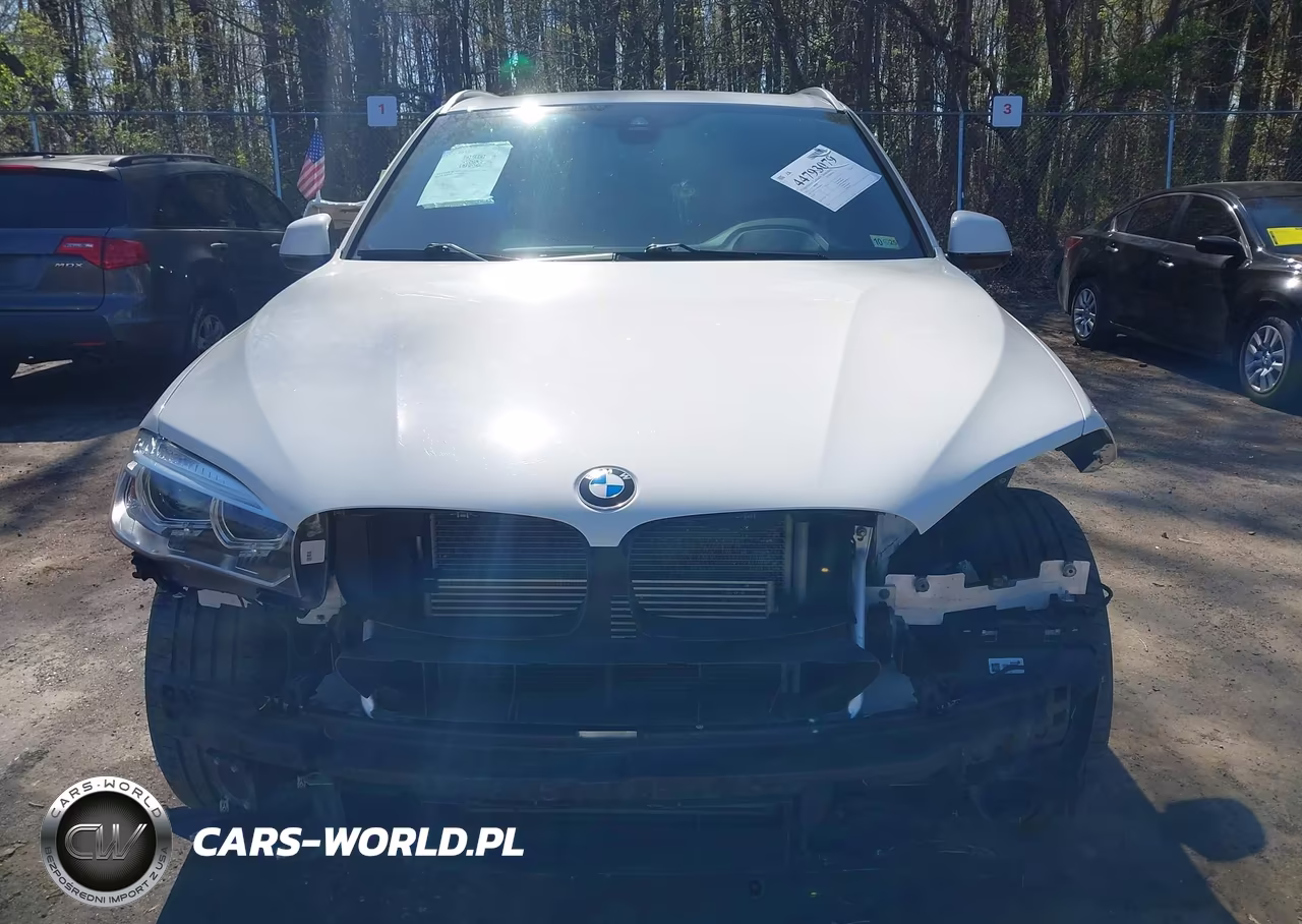 2017 BMW X5 Edrive xDrive40E Iperformance VIN:5UXKT0C34H0S80912 - 13