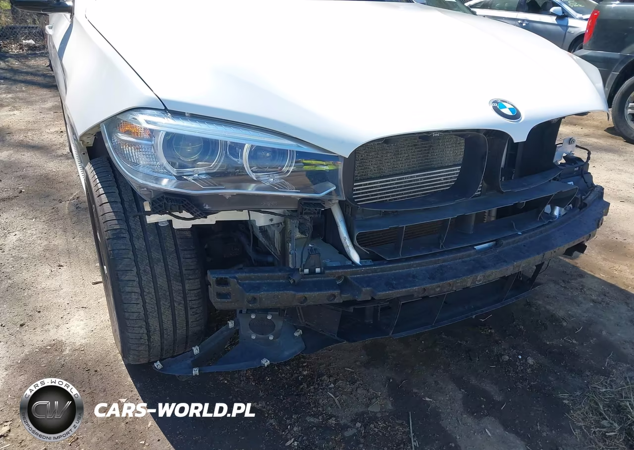 2017 BMW X5 Edrive xDrive40E Iperformance VIN:5UXKT0C34H0S80912 - 18