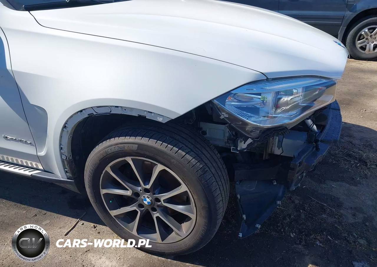 2017 BMW X5 Edrive xDrive40E Iperformance VIN:5UXKT0C34H0S80912 - 19