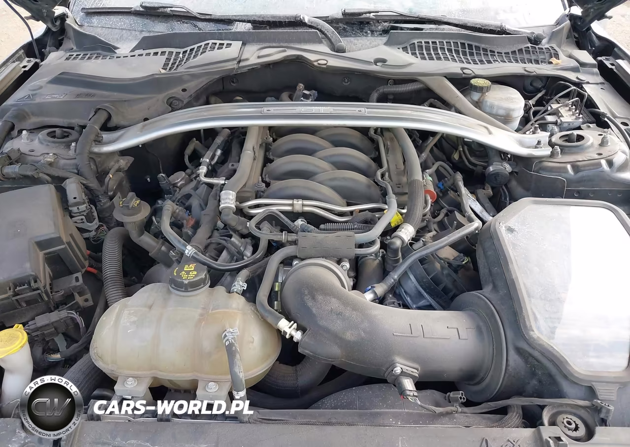 2019 Ford Mustang Gt VIN:1FA6P8CF8K5168534 - 10