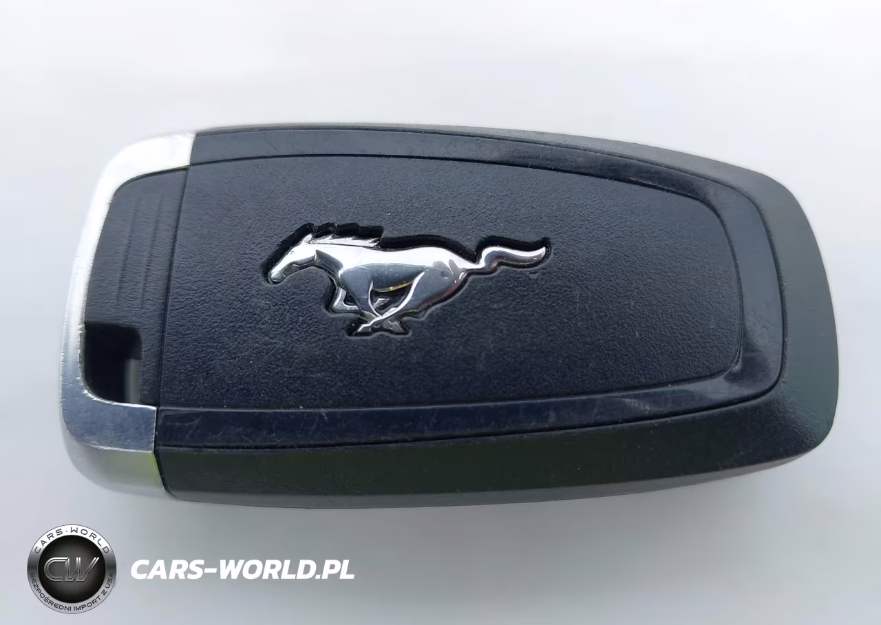 2019 Ford Mustang Gt VIN:1FA6P8CF8K5168534 - 11