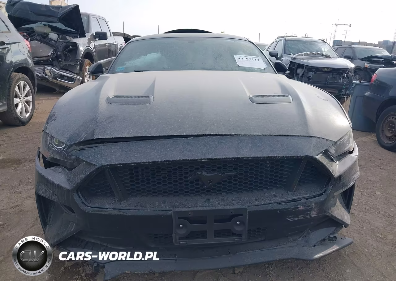 2019 Ford Mustang Gt VIN:1FA6P8CF8K5168534 - 13