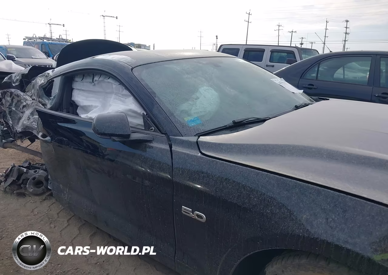 2019 Ford Mustang Gt VIN:1FA6P8CF8K5168534 - 14