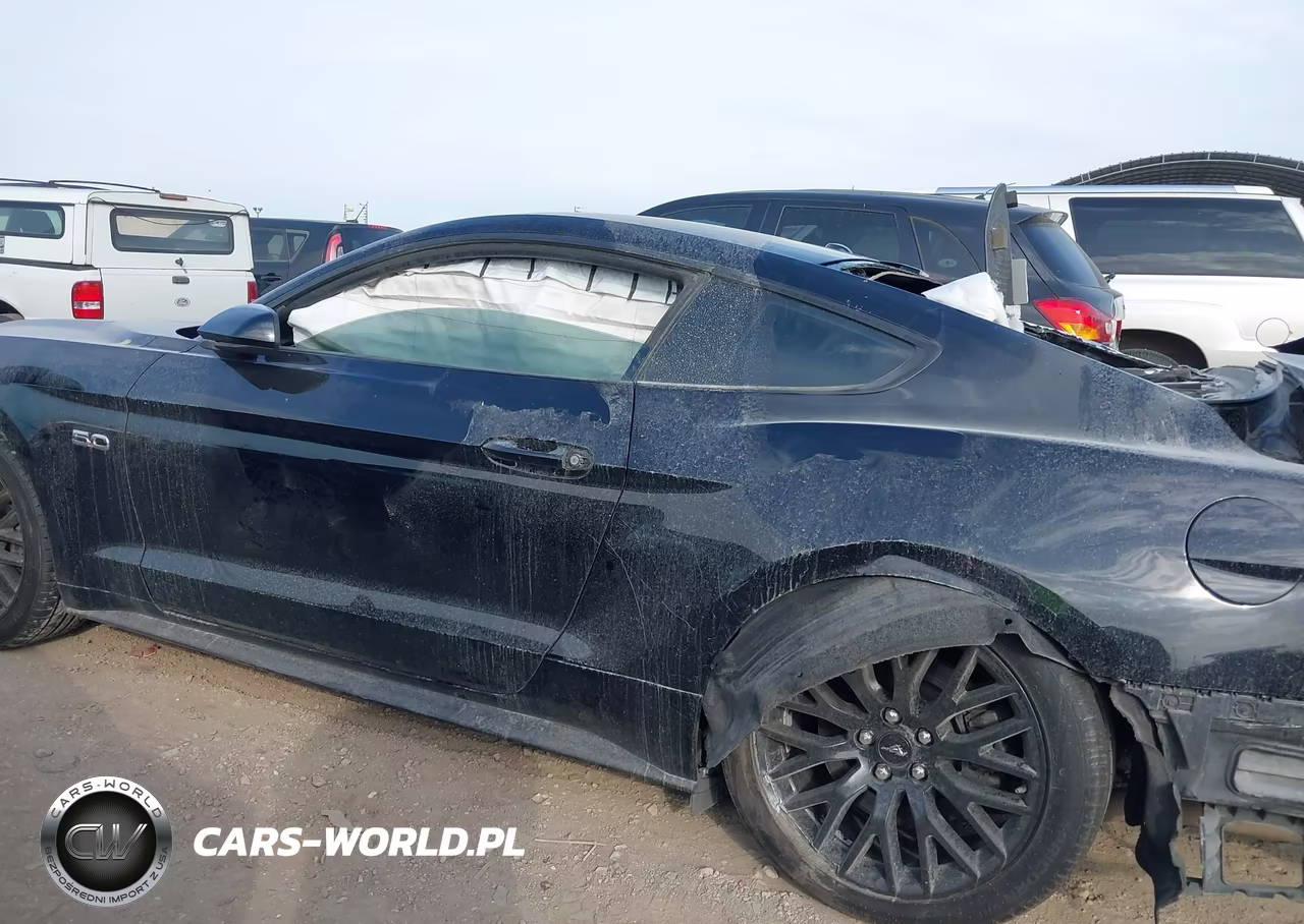 2019 Ford Mustang Gt VIN:1FA6P8CF8K5168534 - 15