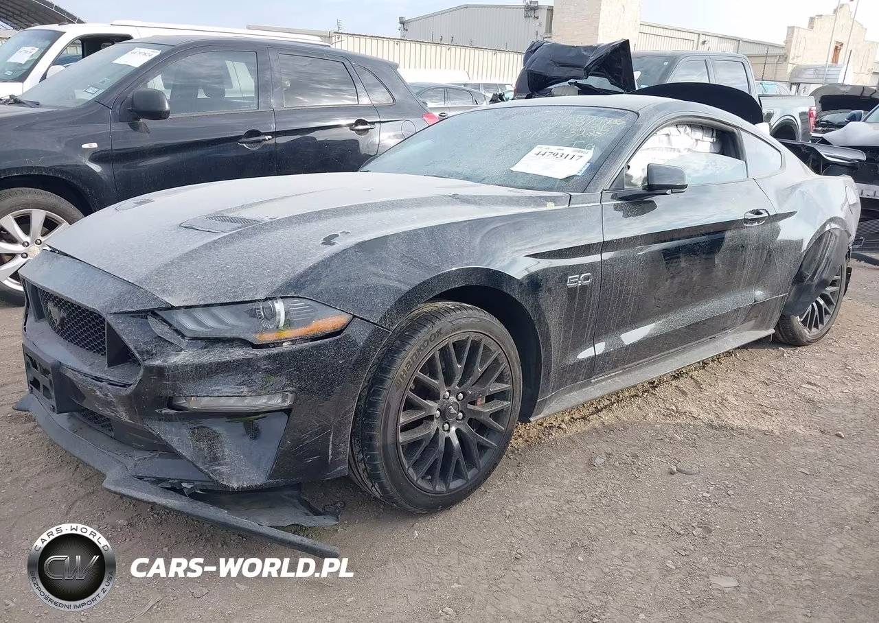 2019 Ford Mustang Gt VIN:1FA6P8CF8K5168534 - 2