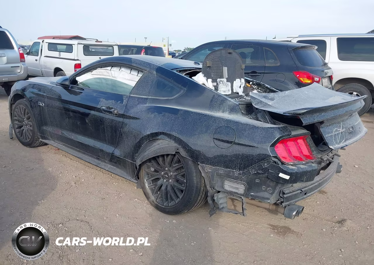 2019 Ford Mustang Gt VIN:1FA6P8CF8K5168534 - 3
