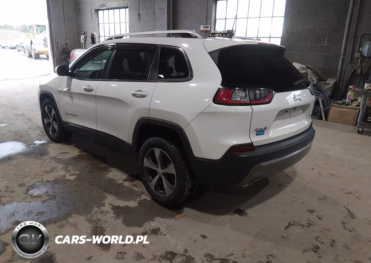 2019 Jeep Cherokee Limited 4X4 VIN:1C4PJMDX0KD161521 - 3