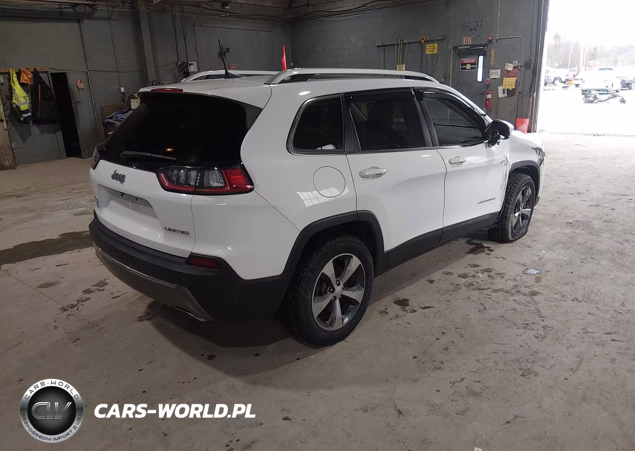 2019 Jeep Cherokee Limited 4X4 VIN:1C4PJMDX0KD161521 - 4