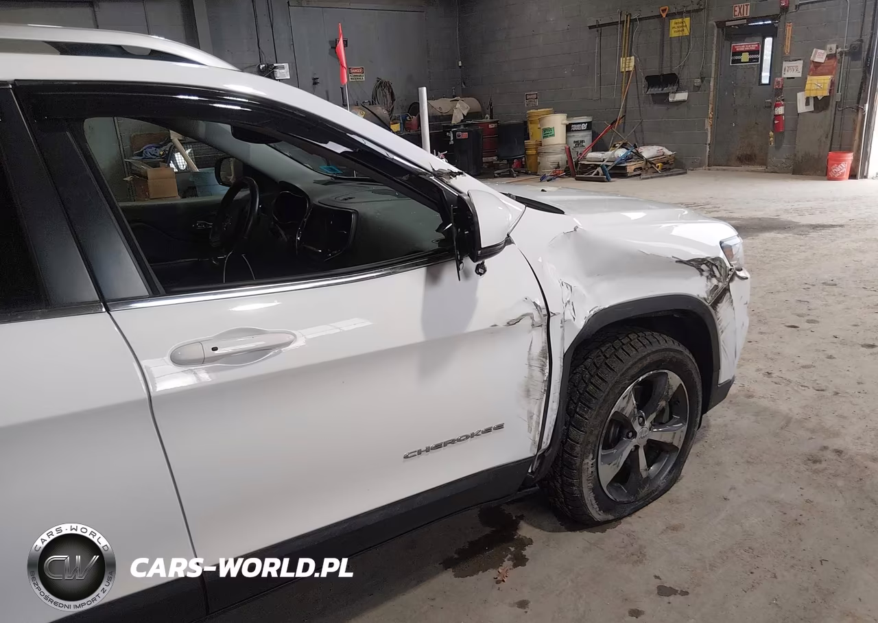 2019 Jeep Cherokee Limited 4X4 VIN:1C4PJMDX0KD161521 - 6