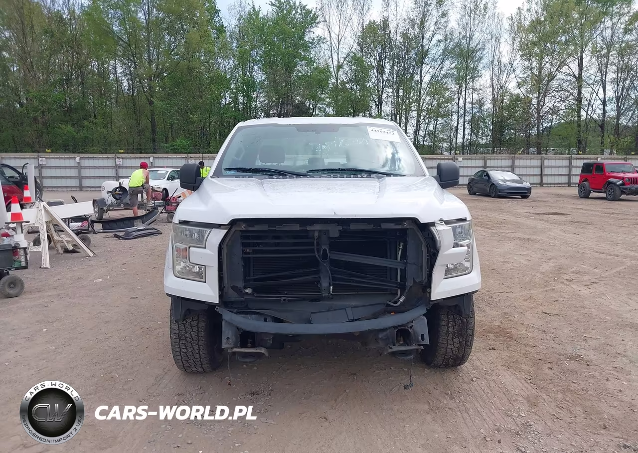 2015 Ford F-150 Xl VIN:1FTFX1EF1FKE56174 - 13