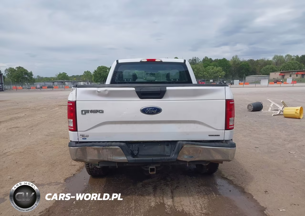 2015 Ford F-150 Xl VIN:1FTFX1EF1FKE56174 - 17