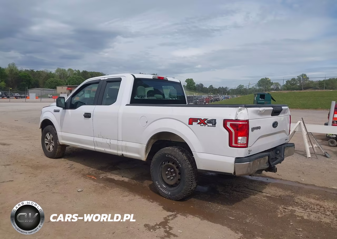 2015 Ford F-150 Xl VIN:1FTFX1EF1FKE56174 - 3
