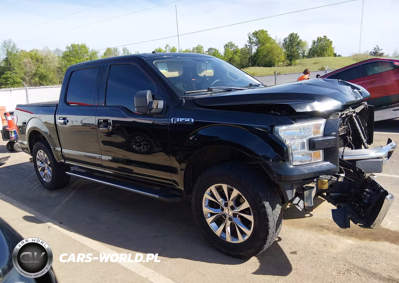 2016 Ford F-150 Xlt VIN:1FTEW1EF8GKD90349 - 14