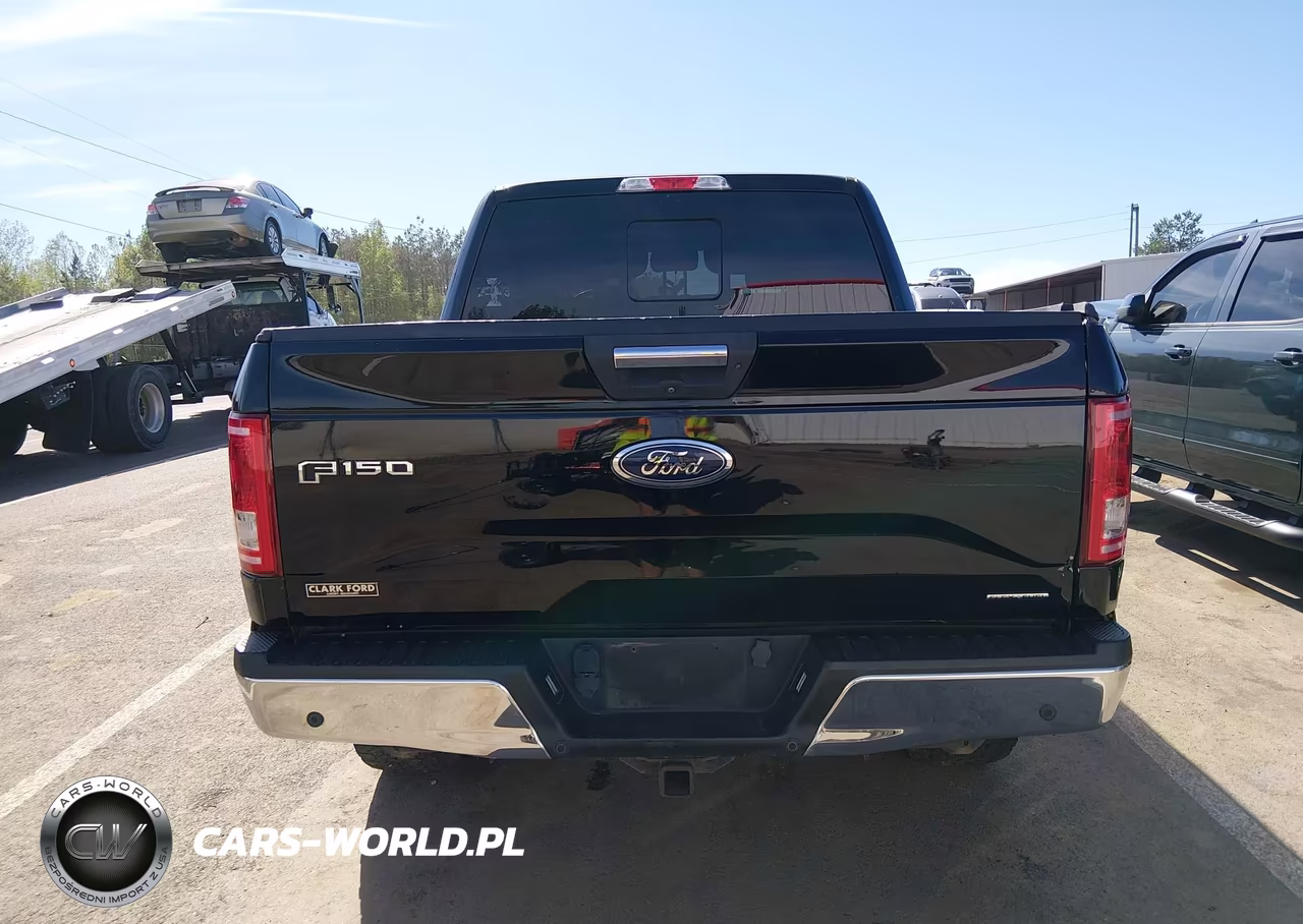 2016 Ford F-150 Xlt VIN:1FTEW1EF8GKD90349 - 17