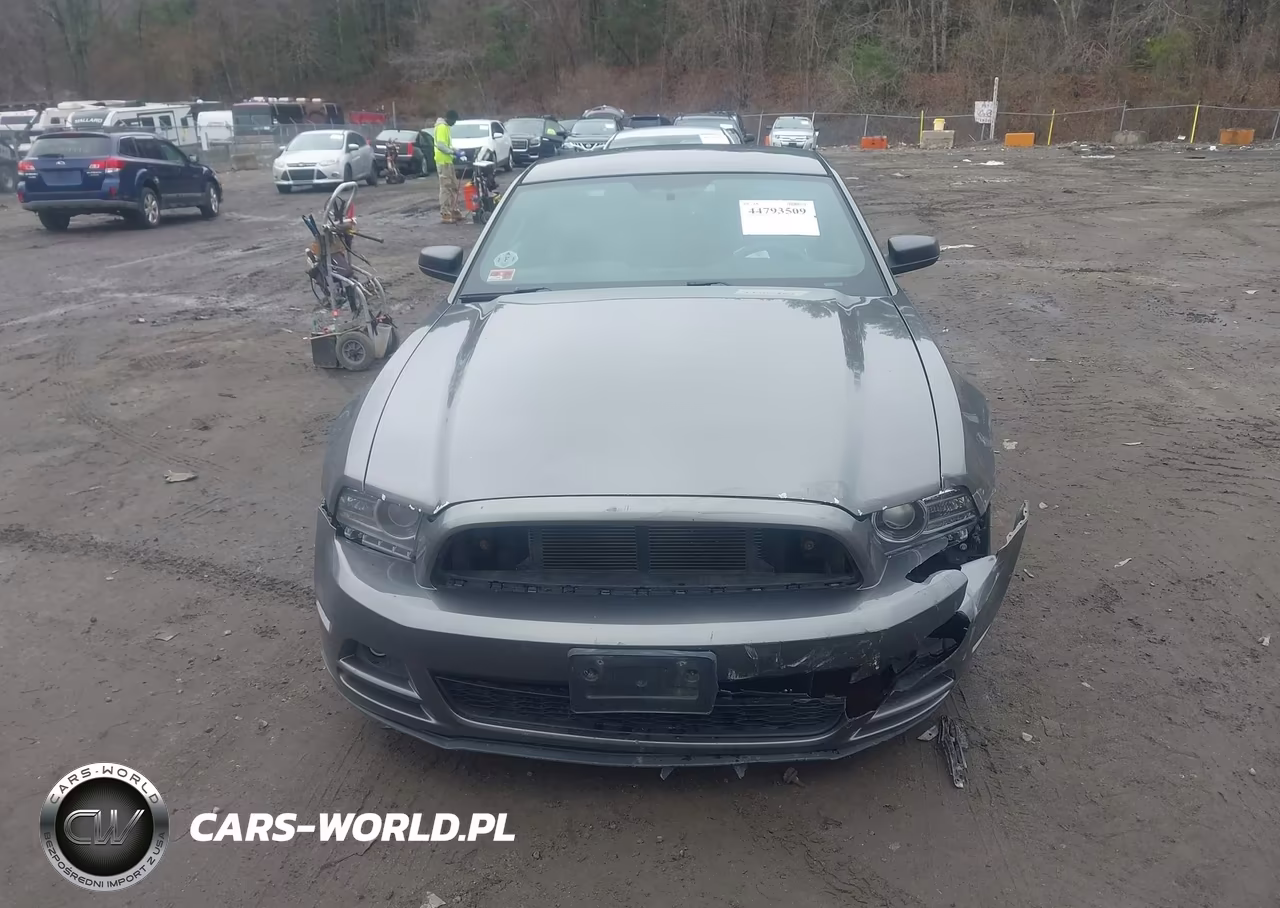 2014 Ford Mustang V6 VIN:1ZVBP8AM5E5276170 - 12