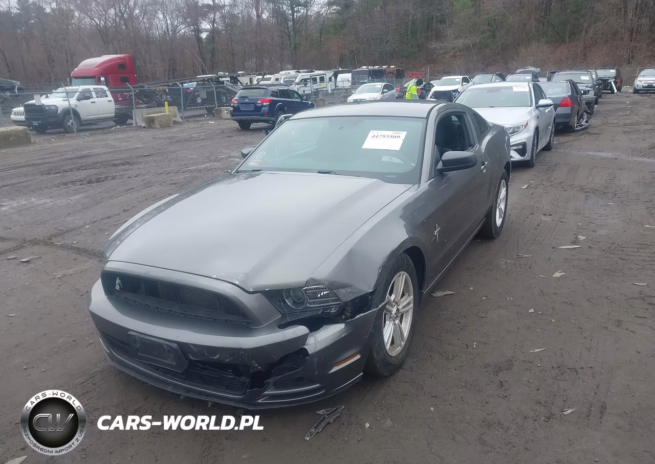 2014 Ford Mustang V6 VIN:1ZVBP8AM5E5276170 - 2