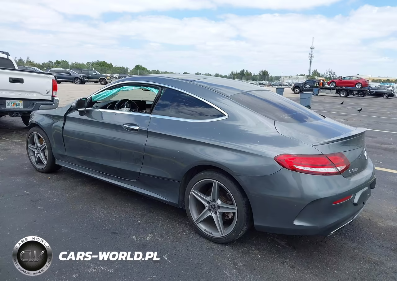 2019 Mercedes-Benz C 300 4Matic VIN:WDDWJ8EBXKF804859 - 3