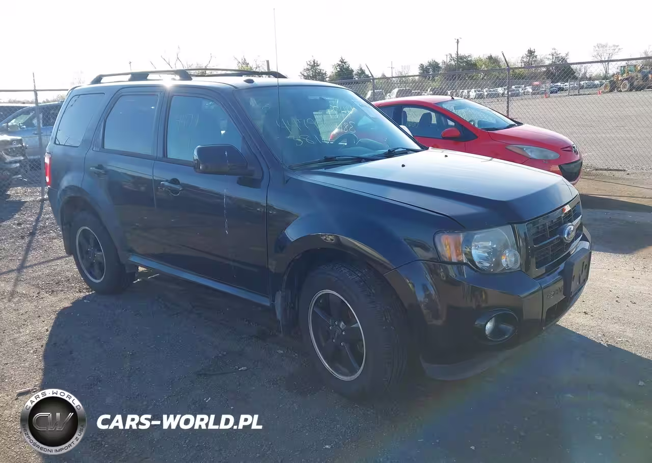 2011 Ford Escape Xlt