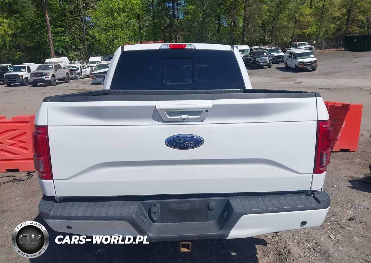 2017 Ford F-150 King Ranch-Lariat-Limited-Platinum-Xl-Xlt VIN:1FTEW1CG8HFA54027 - 16