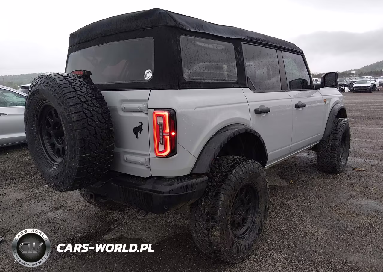 2023 Ford Bronco Badlands VIN:1FMEE5DPXPLB38080 - 4
