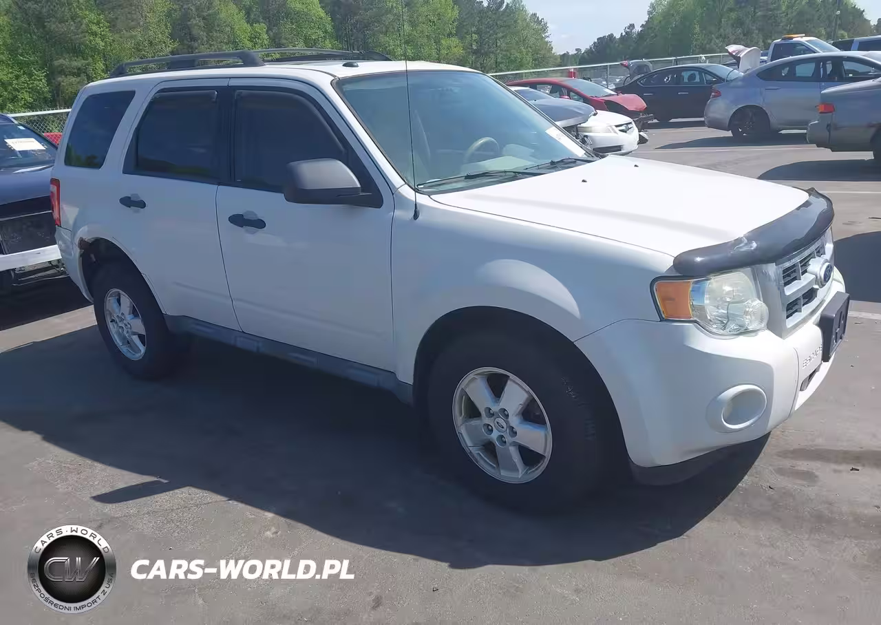 2010 Ford Escape Xlt