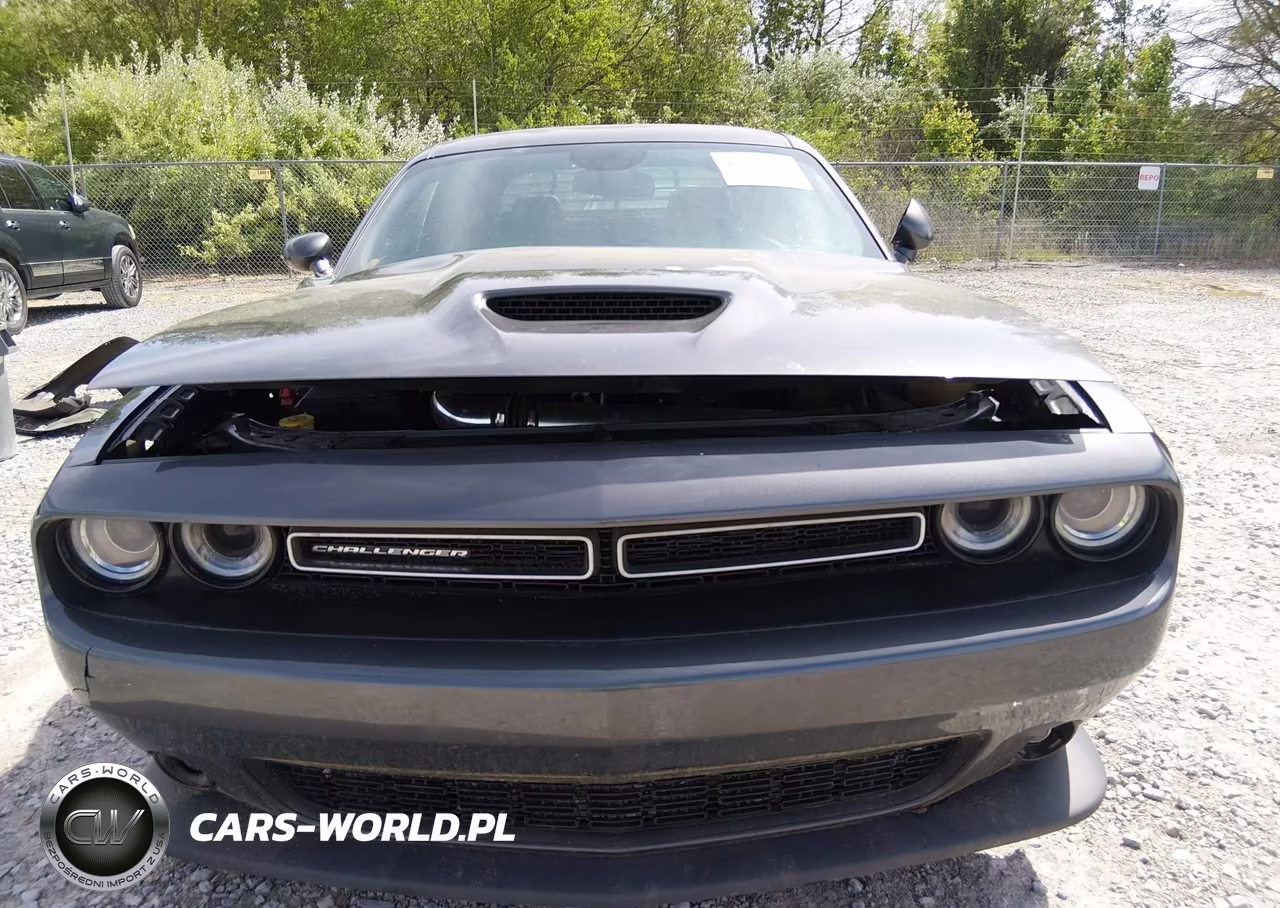 2019 Dodge Challenger Gt Awd VIN:2C3CDZKG0KH596844 - 12