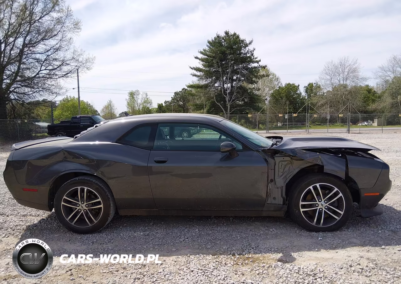 2019 Dodge Challenger Gt Awd VIN:2C3CDZKG0KH596844 - 13