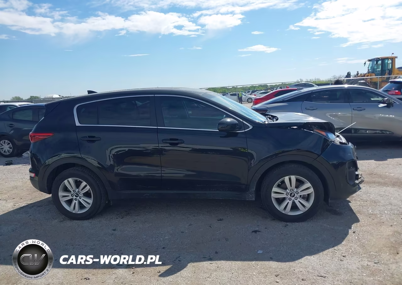 2019 Kia Sportage Lx VIN:KNDPM3AC4K7599508 - 13
