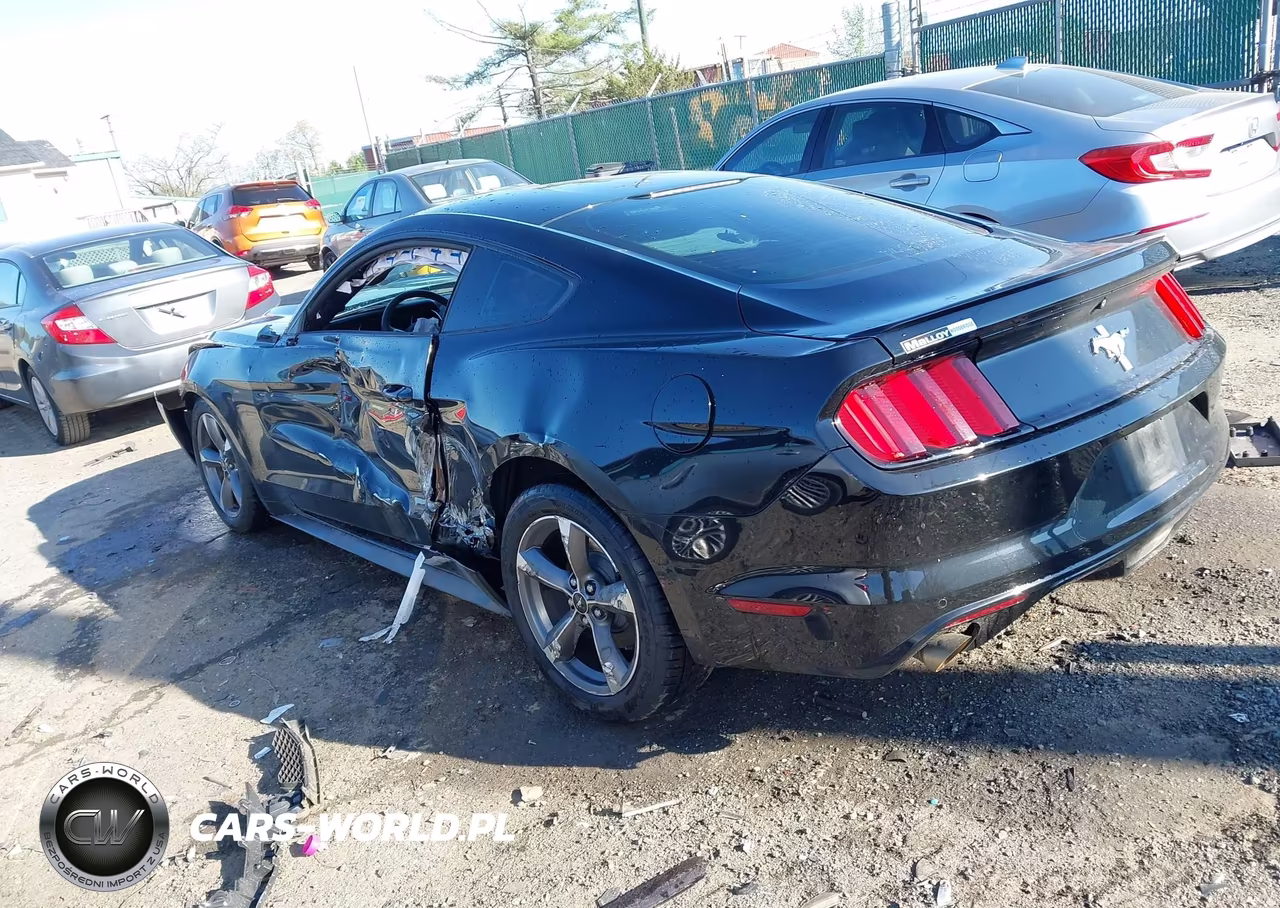 2015 Ford Mustang V6 VIN:1FA6P8AM7F5329172 - 3