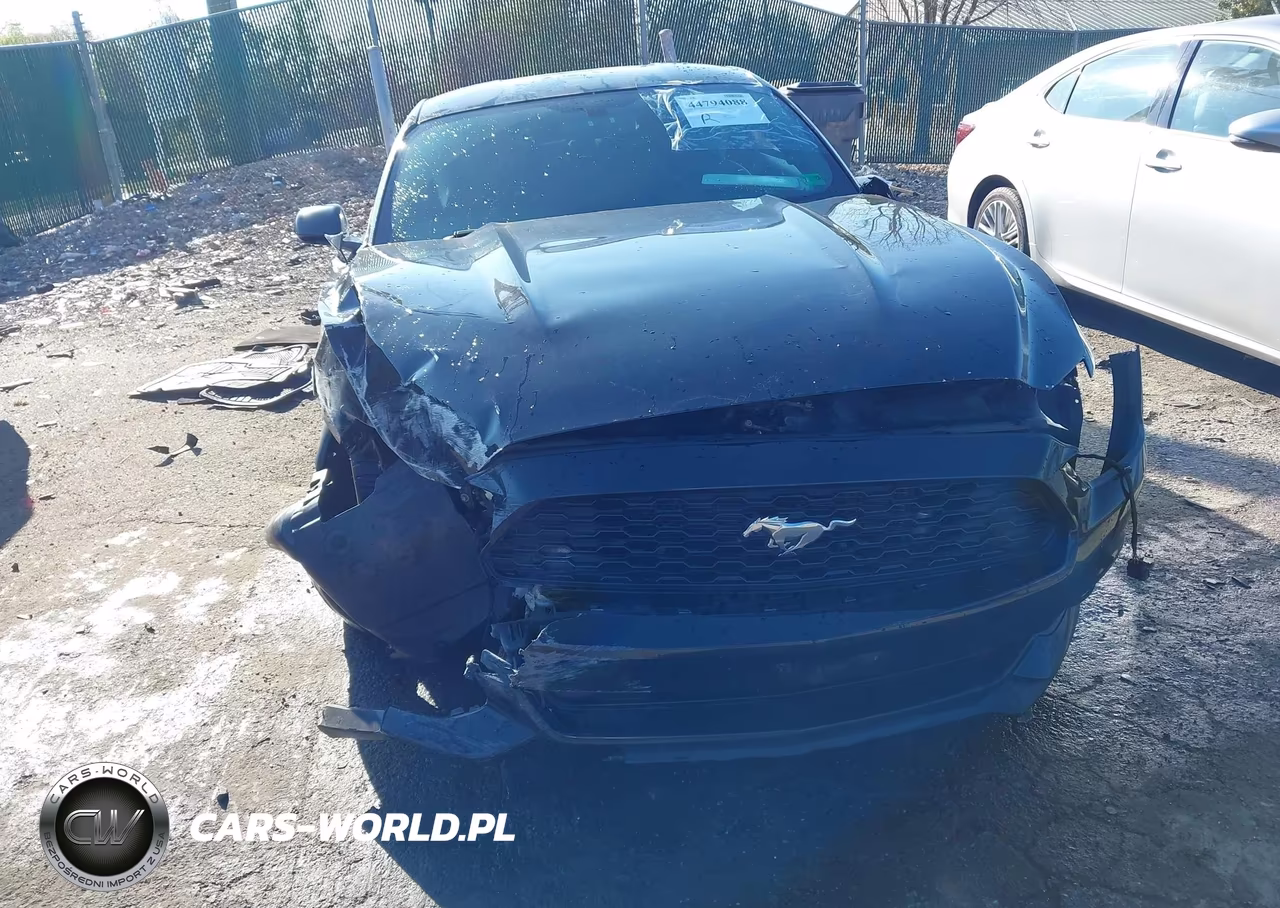 2015 Ford Mustang V6 VIN:1FA6P8AM7F5329172 - 6