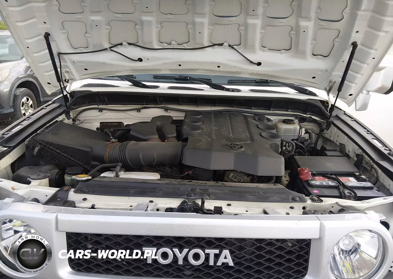 2013 Toyota Fj Cruiser VIN:JTEBU4BF5DK169913 - 10