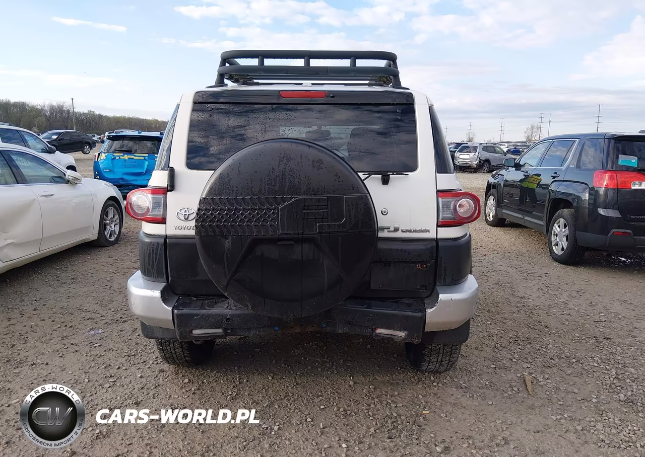 2013 Toyota Fj Cruiser VIN:JTEBU4BF5DK169913 - 17