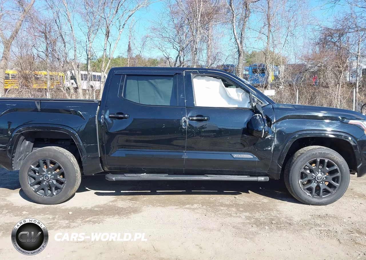 2023 Toyota Tundra Platinum VIN:5TFNA5DB5PX123872 - 13