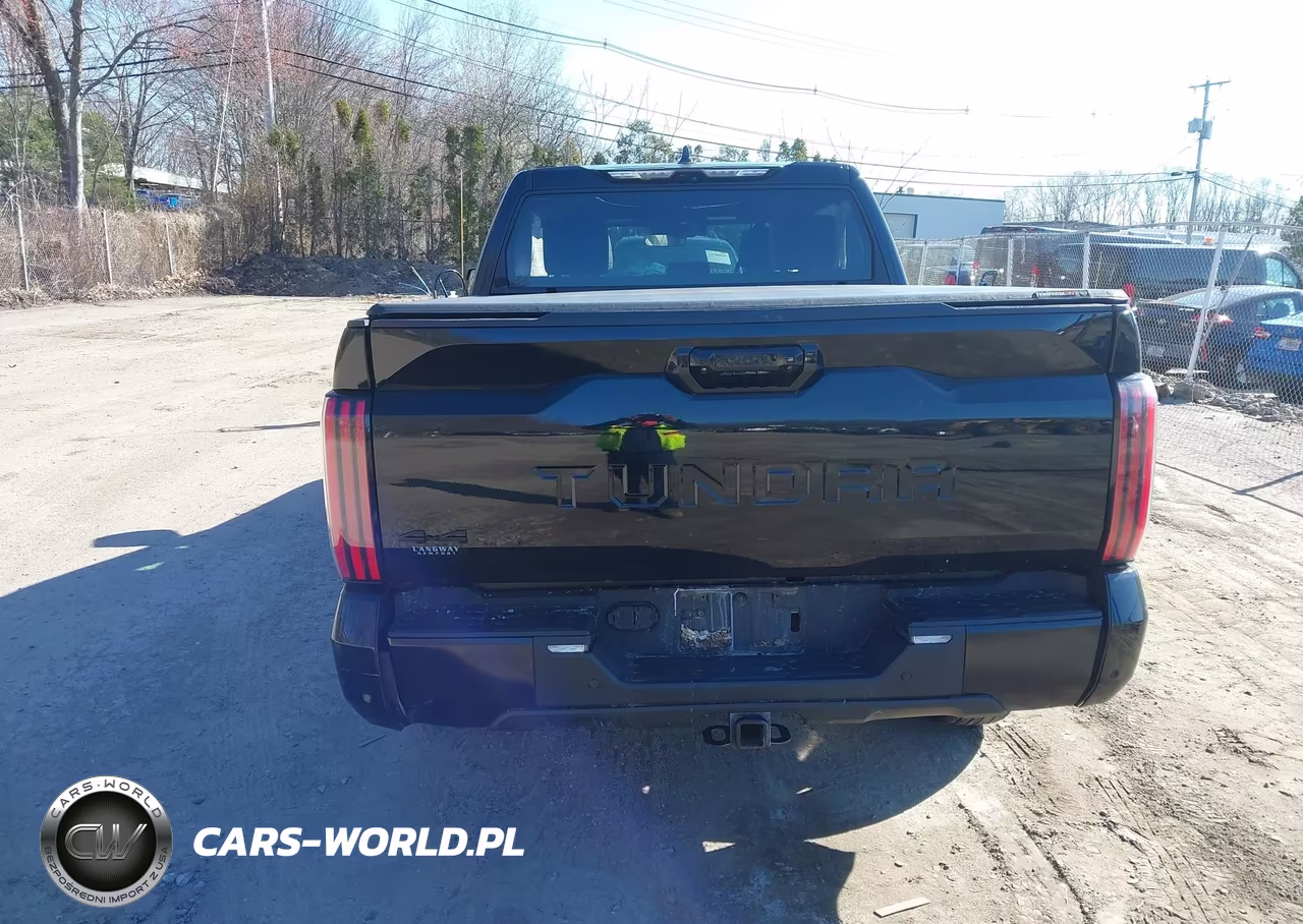 2023 Toyota Tundra Platinum VIN:5TFNA5DB5PX123872 - 16