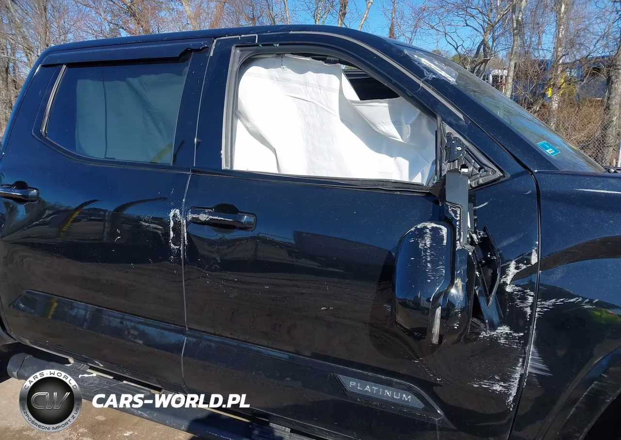 2023 Toyota Tundra Platinum VIN:5TFNA5DB5PX123872 - 18