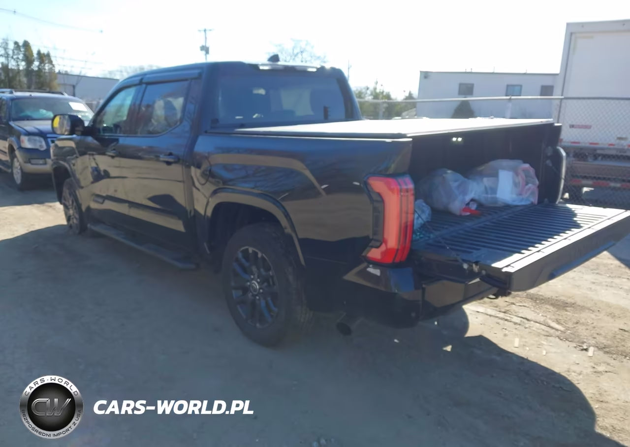 2023 Toyota Tundra Platinum VIN:5TFNA5DB5PX123872 - 3