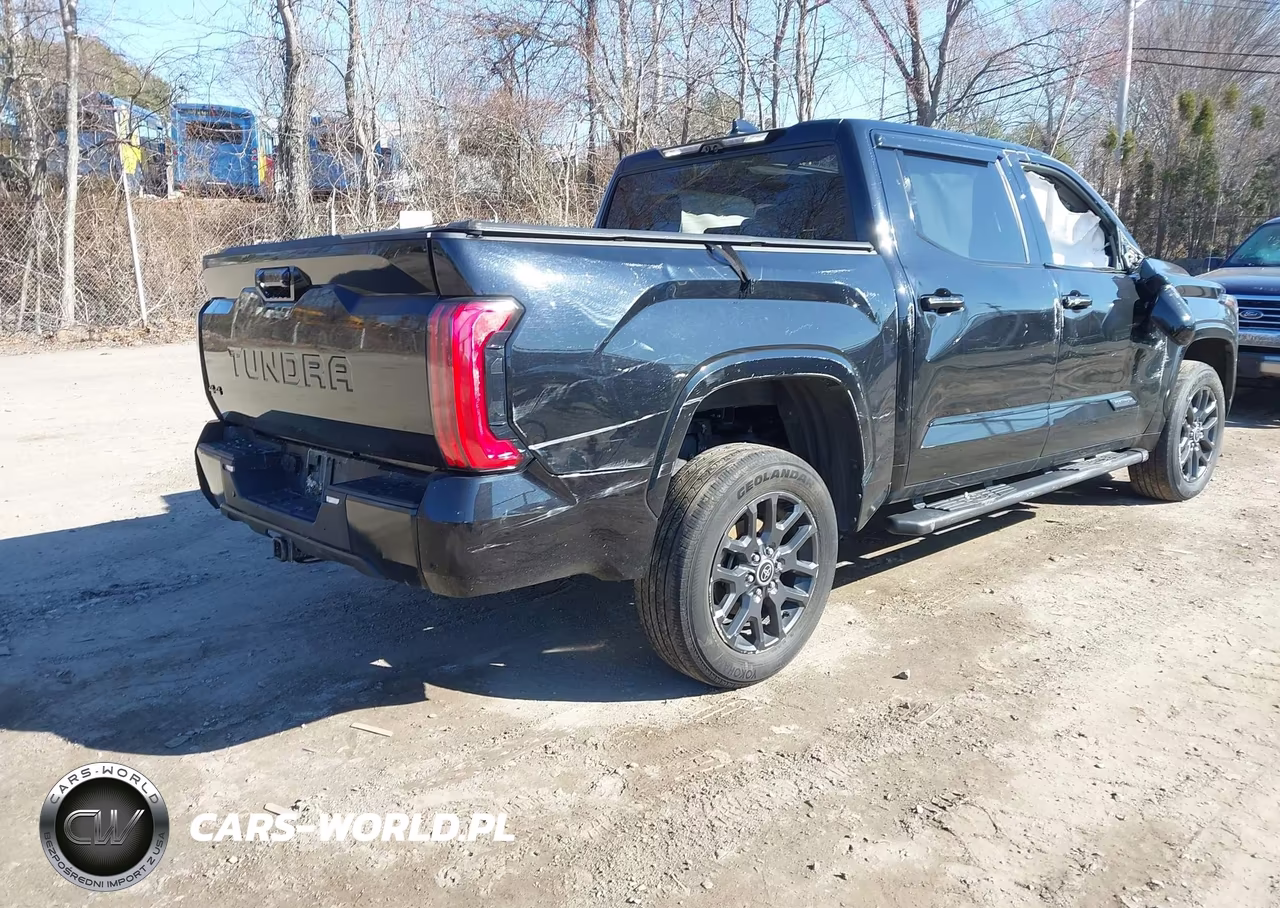 2023 Toyota Tundra Platinum VIN:5TFNA5DB5PX123872 - 4