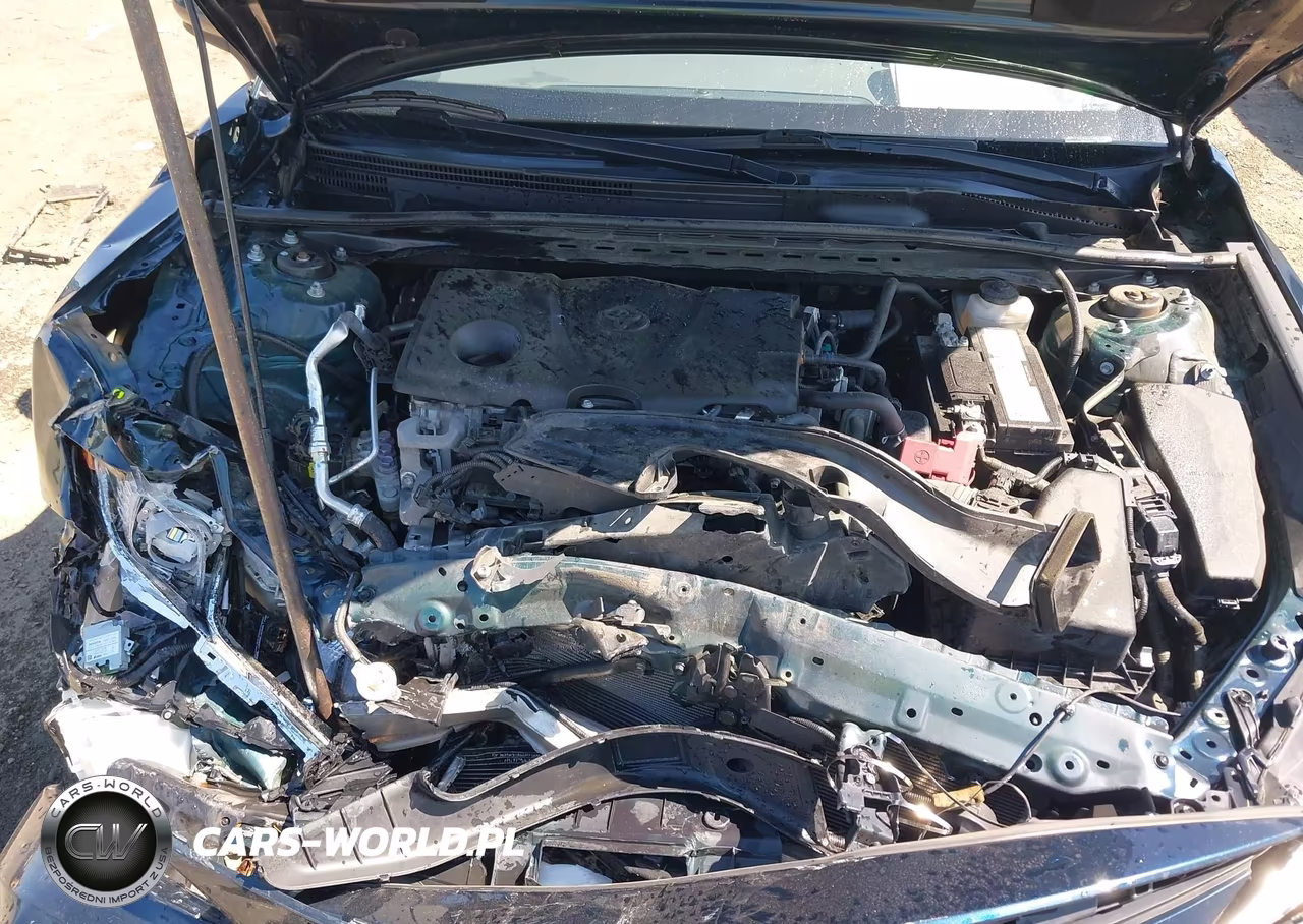2021 Toyota Camry Le VIN:4T1C11AKXMU586023 - 10