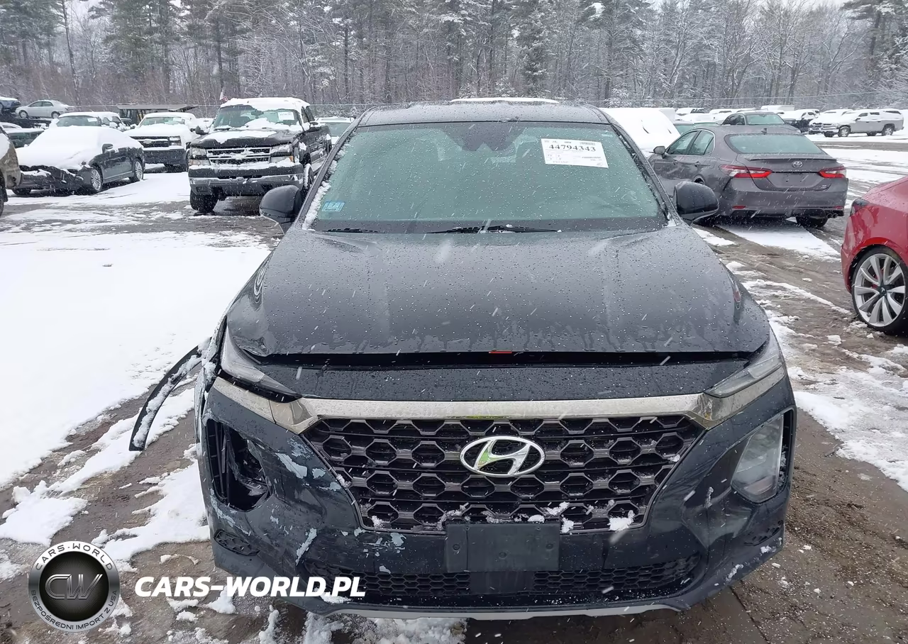 2019 Hyundai Santa Fe Se VIN:5NMS2CAD9KH036911 - 12