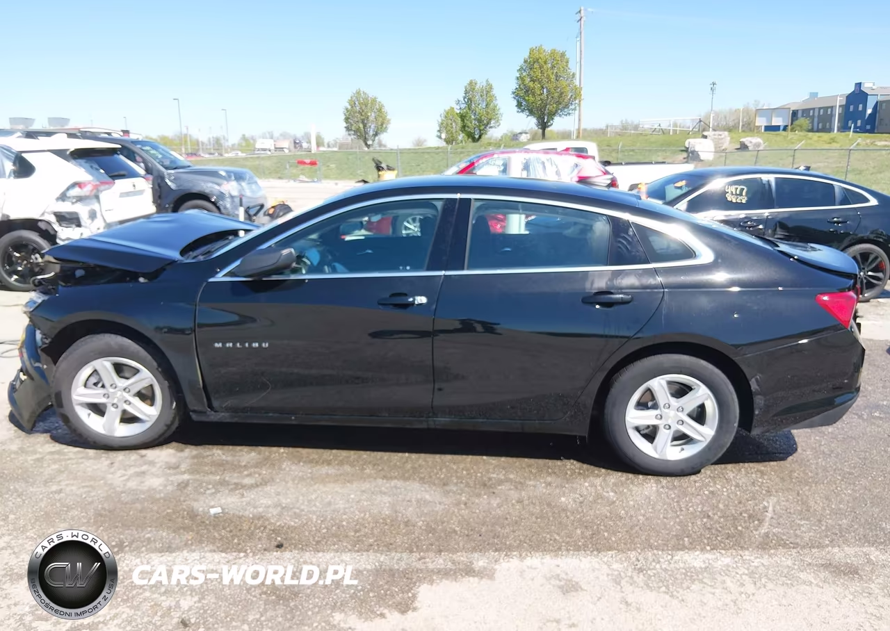 2024 Chevrolet Malibu Fwd 1Fl VIN:1G1ZC5ST0RF194289 - 13