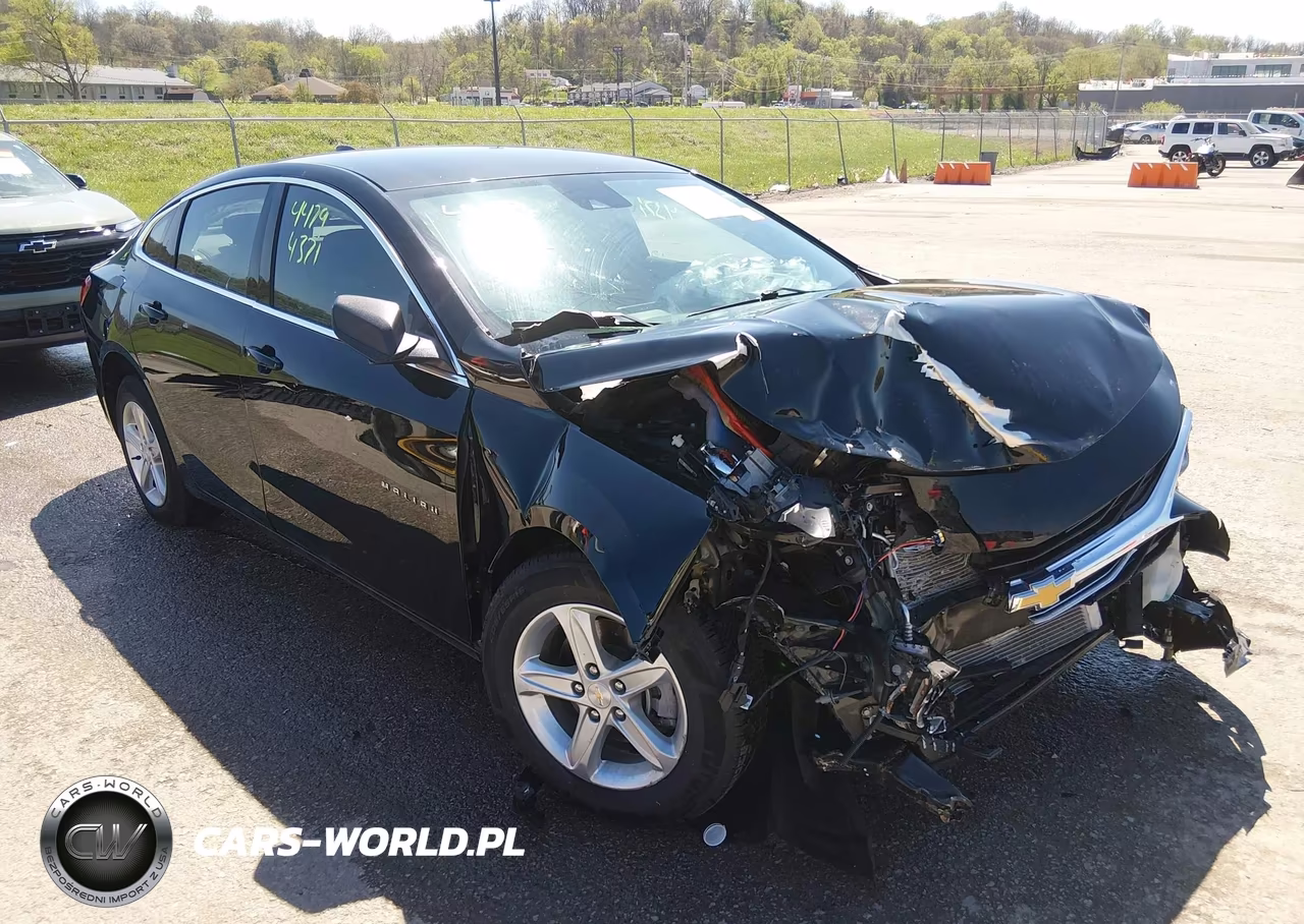 2024 Chevrolet Malibu Fwd 1Fl VIN:1G1ZC5ST0RF194289 - 17