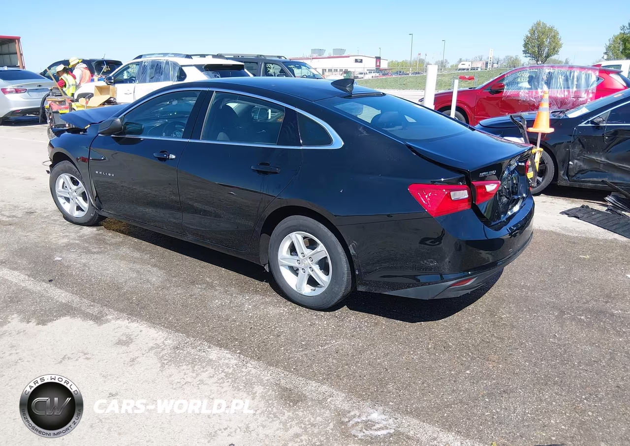 2024 Chevrolet Malibu Fwd 1Fl VIN:1G1ZC5ST0RF194289 - 3