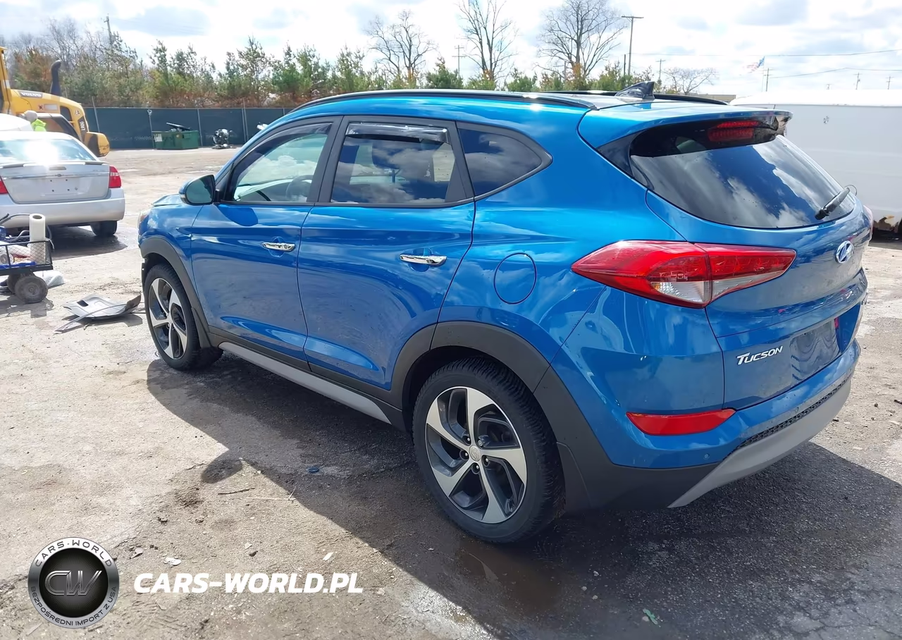 2018 Hyundai Tucson Limited VIN:KM8J3CA2XJU819276 - 3