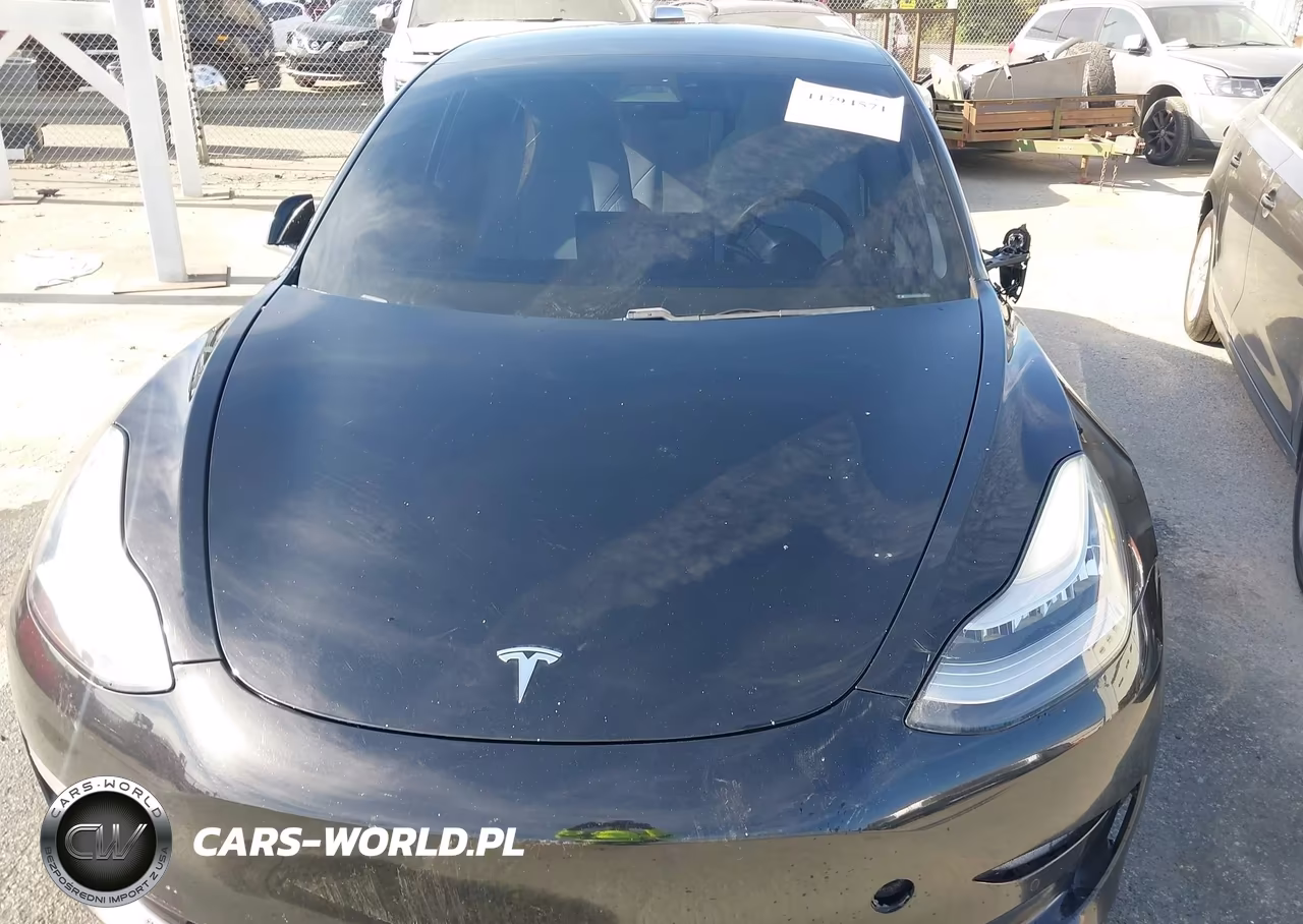 2020 Tesla Model 3 Standard Range Plus Rear-Wheel Drive-Standard Range Rear-Wheel Drive VIN:5YJ3E1EA6LF606690 - 10