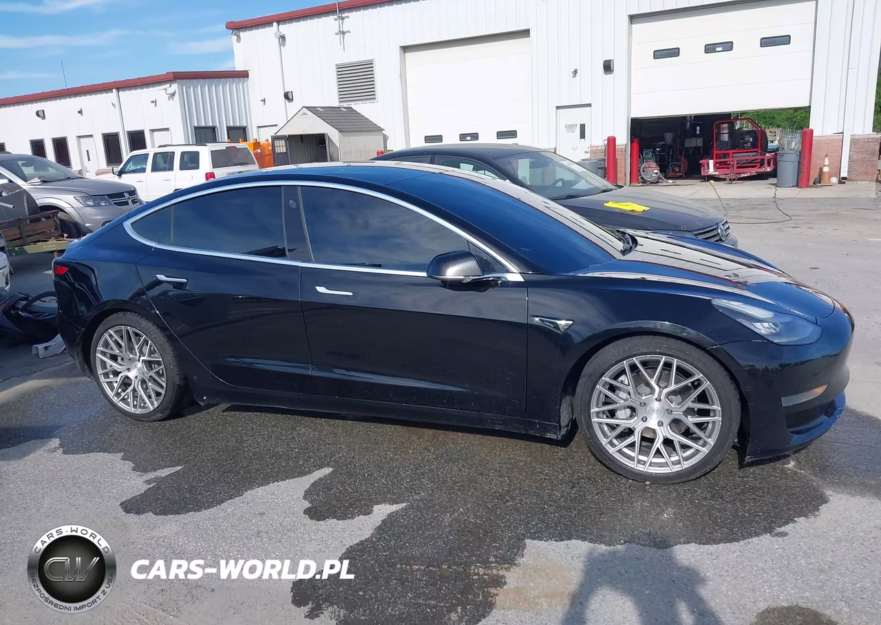 2020 Tesla Model 3 Standard Range Plus Rear-Wheel Drive-Standard Range Rear-Wheel Drive VIN:5YJ3E1EA6LF606690 - 12
