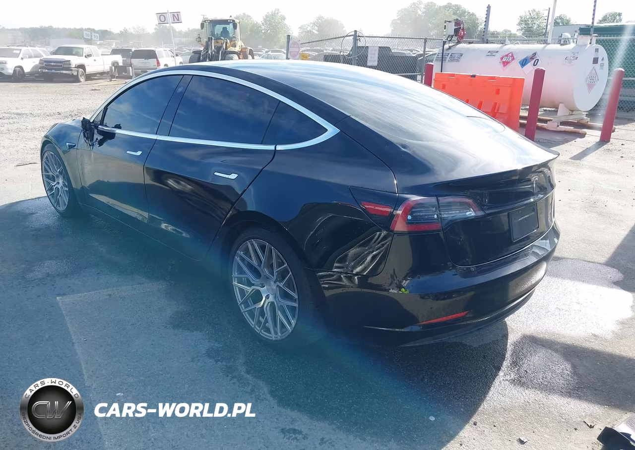 2020 Tesla Model 3 Standard Range Plus Rear-Wheel Drive-Standard Range Rear-Wheel Drive VIN:5YJ3E1EA6LF606690 - 3