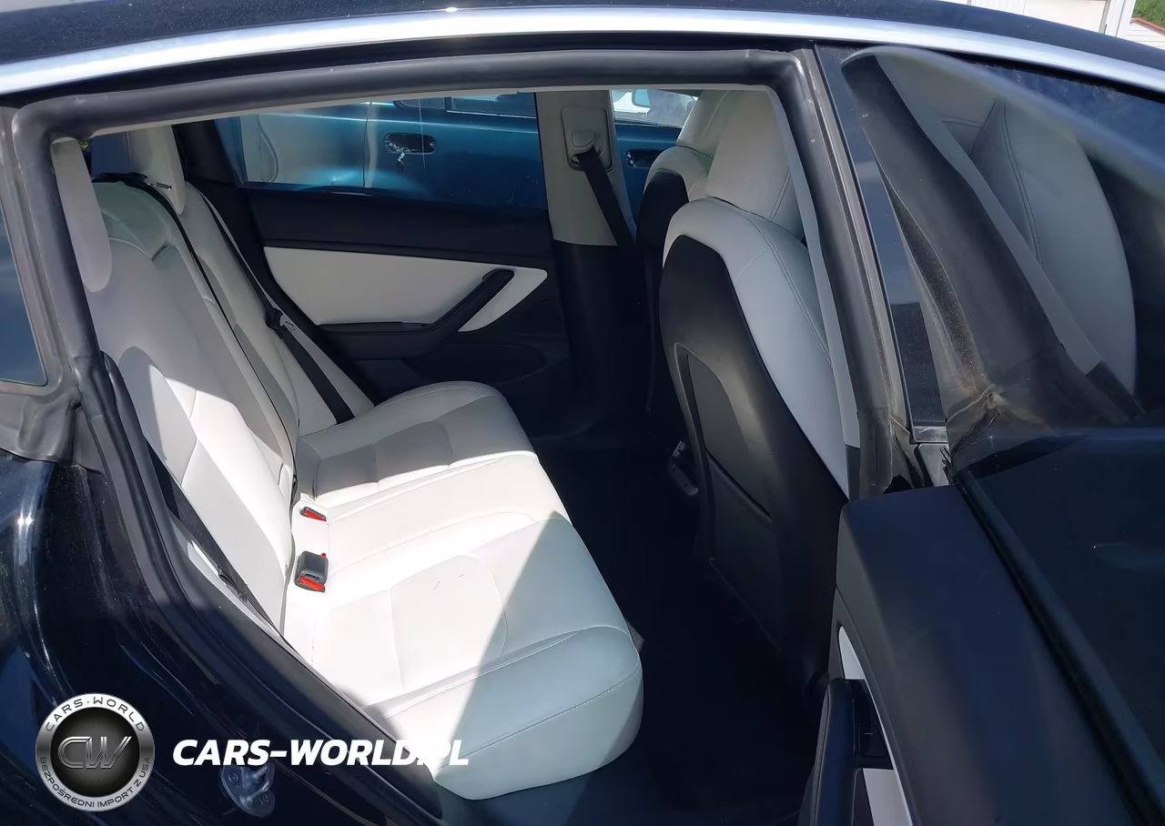 2020 Tesla Model 3 Standard Range Plus Rear-Wheel Drive-Standard Range Rear-Wheel Drive VIN:5YJ3E1EA6LF606690 - 8