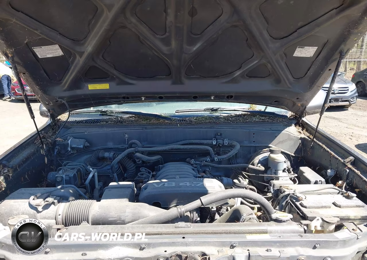 2005 Toyota Sequoia Sr5 V8 VIN:5TDBT44A35S245311 - 10
